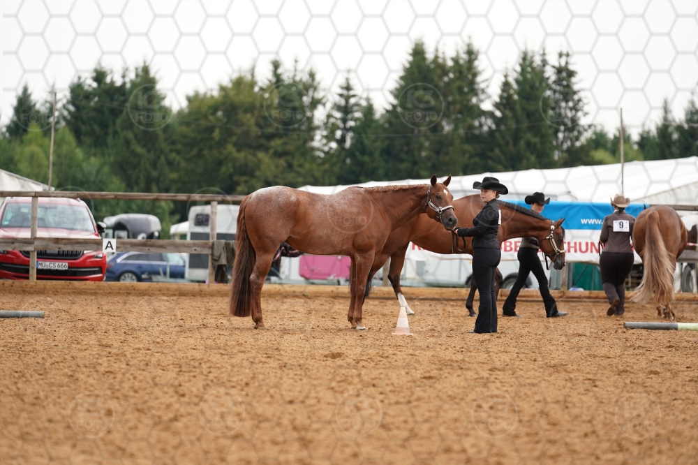 s_A9_08635.jpg